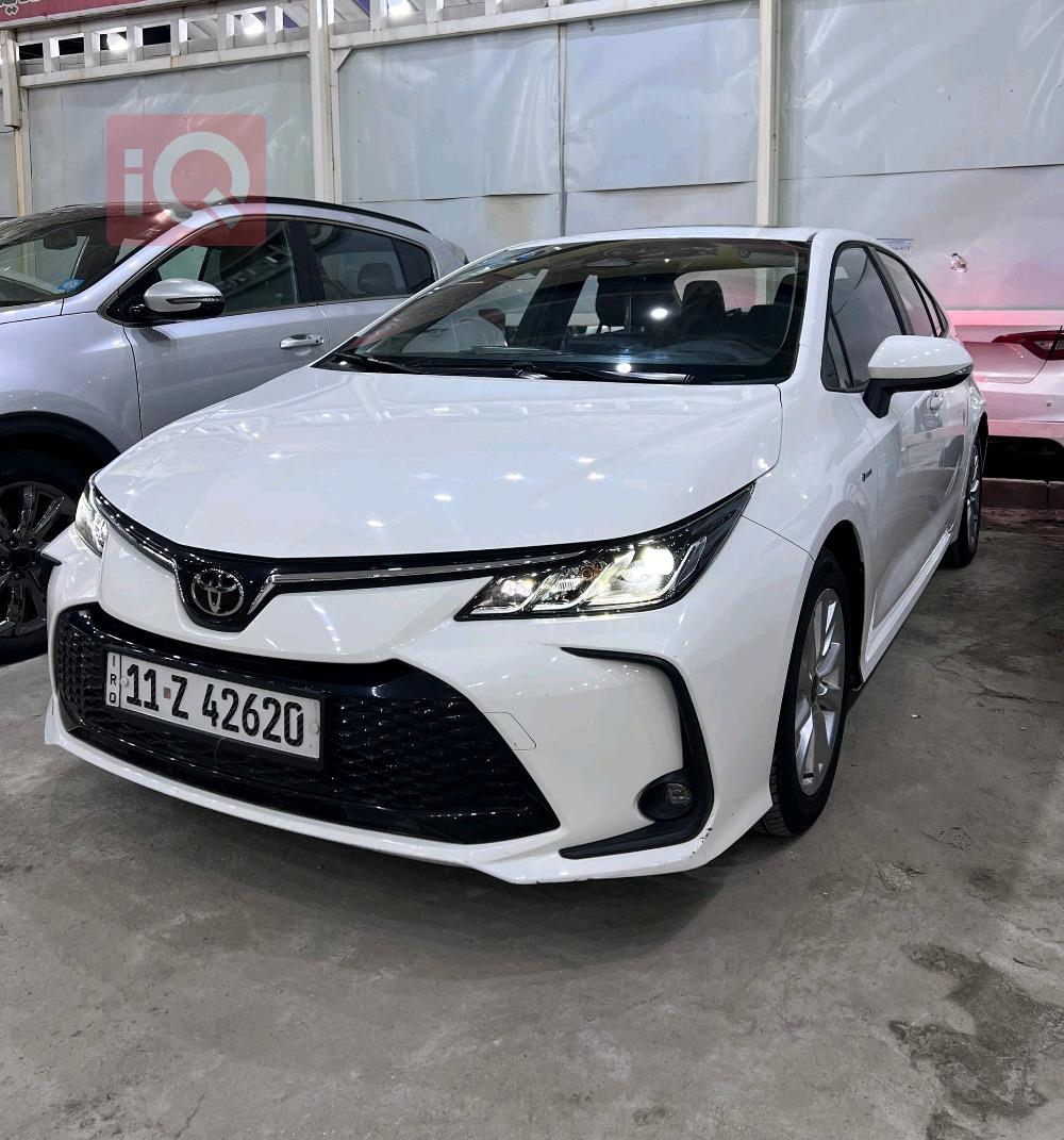 تويوتا كورولا